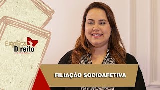 Explica Direito Filiação Socioafetiva  2019 [upl. by Leuqer]