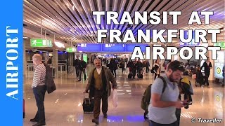 TRANSIT WALK AT FRANKFURT Airport FRA Terminal 1  Connection Flight Transfer Arriving amp Departing [upl. by Xuerd]